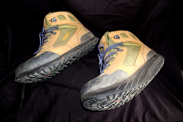 Bespoke orthotic shoes allow limb reconstruction patient Kathy to walk her dogs again